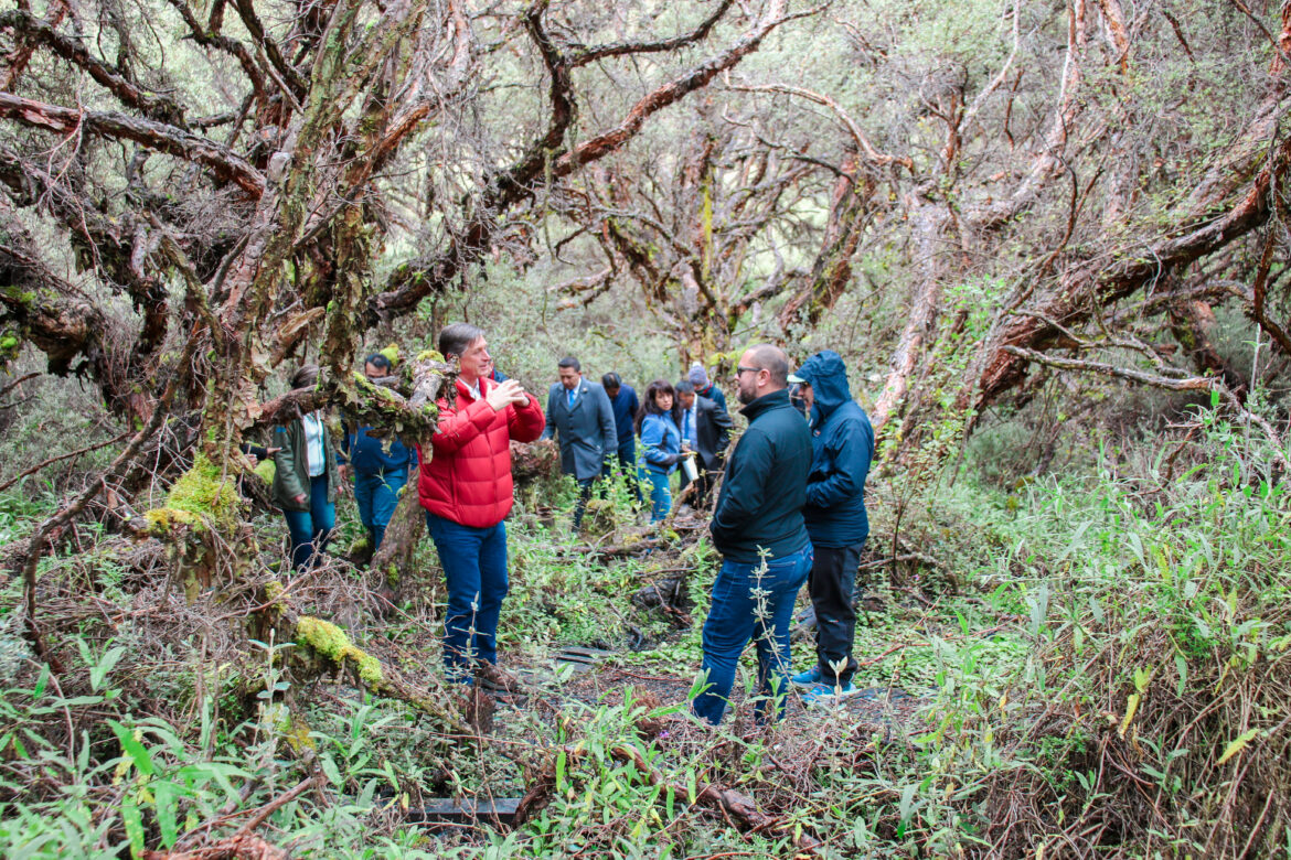 Ponce Paluguillo, primera área de protección hídrica que se integra al Sistema Nacional de Áreas Protegidas