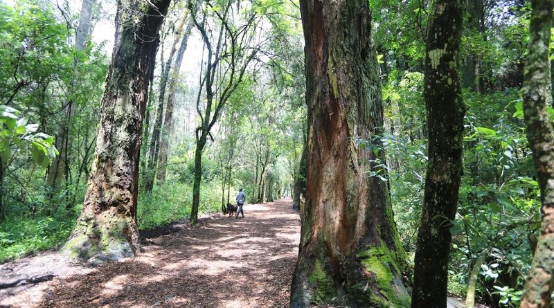 Con horarios ampliados visite los 12 parques metropolitanos de Quito en estas vacaciones