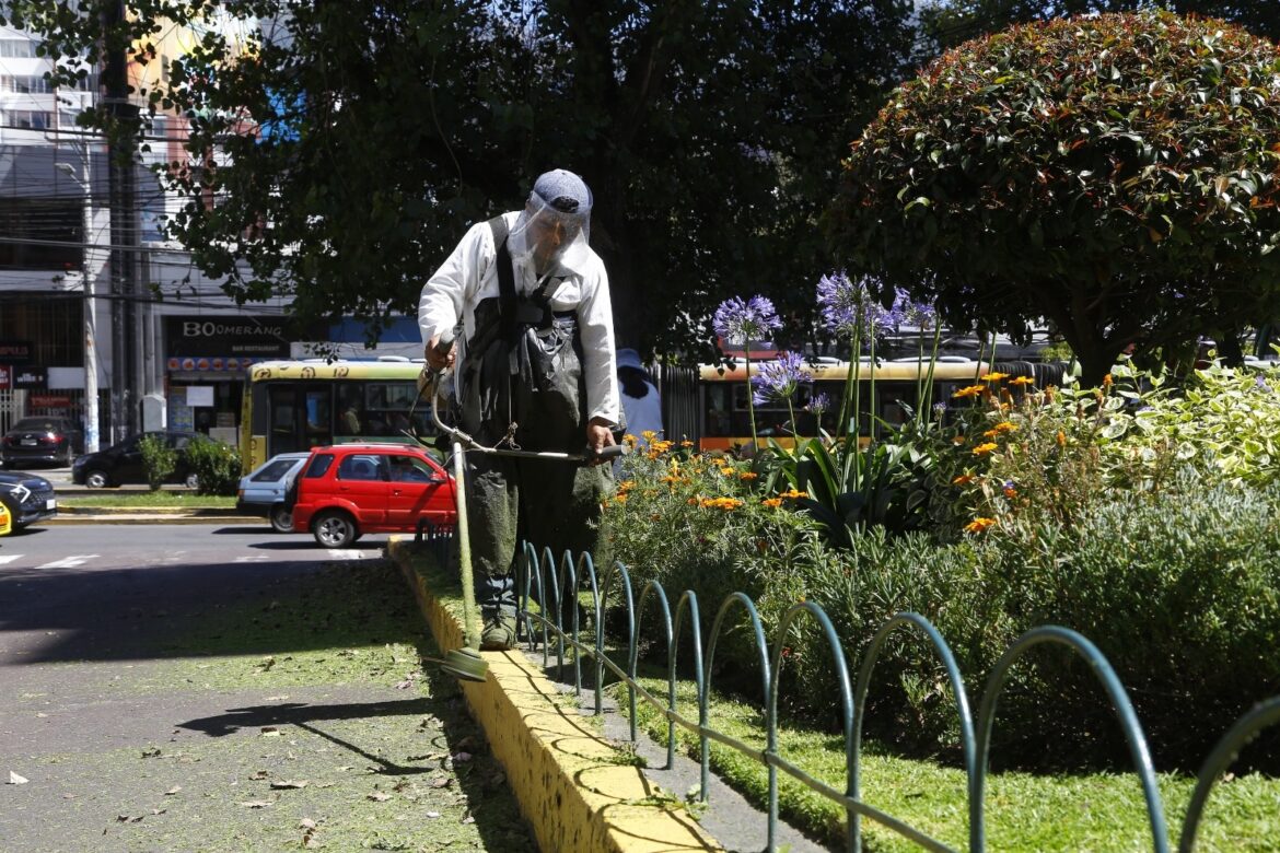 Bufete de abogados se une a Quito Adopta