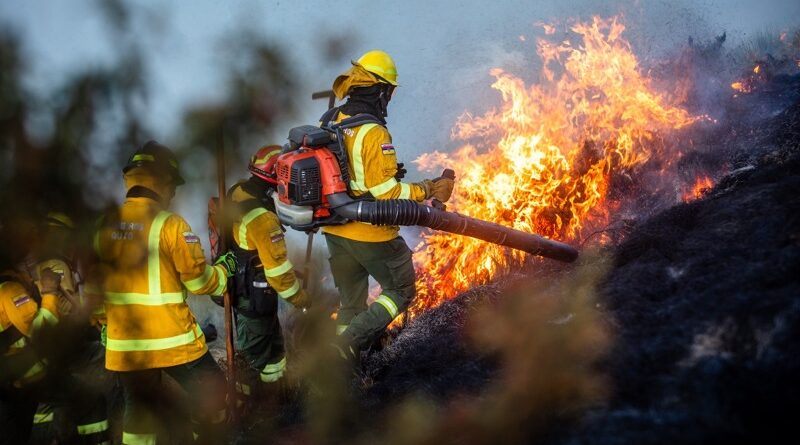 Quito enfrenta la época de incendios forestales con una inversión de USD 8 millones