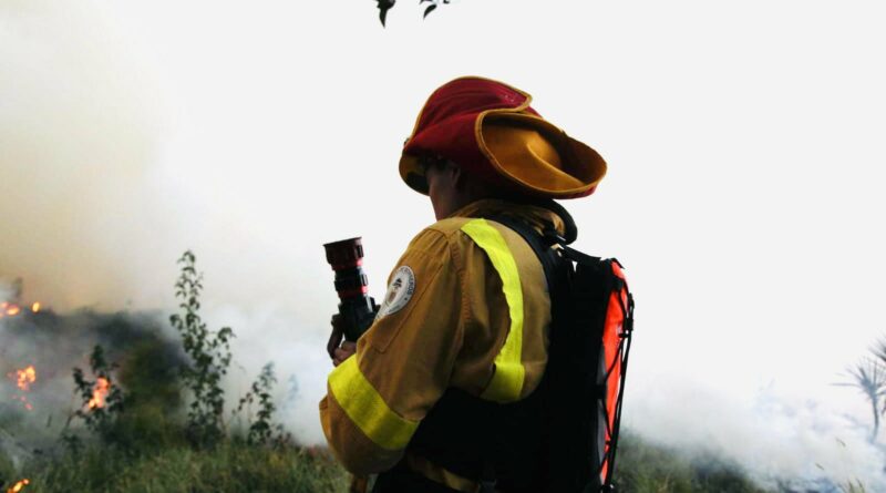 100 efectivos del Cuerpo de Bomberos intensifican labores para sofocar incendio en el Pichincha