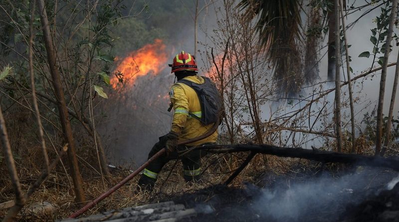 La Alcaldía de Quito presentó 13 denuncias por incendios forestales