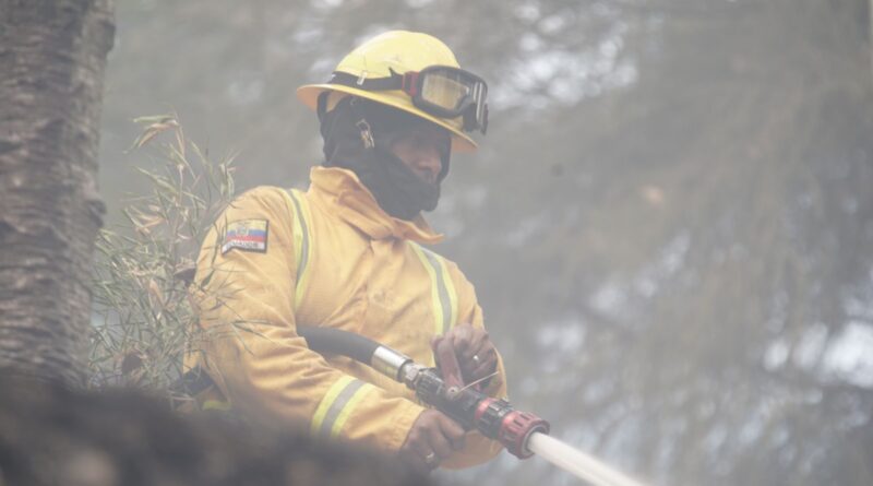 Incendio forestal en el cerro Ilaló