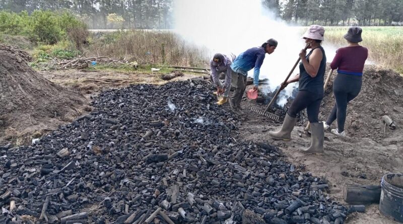 Responsables de incendios forestales enfrentarían multa de hasta USD 34.500