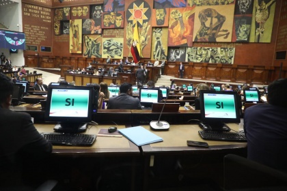 Pleno rechazó y condenó la sentencia de la acción de protección propuesta por Inés Alarcón